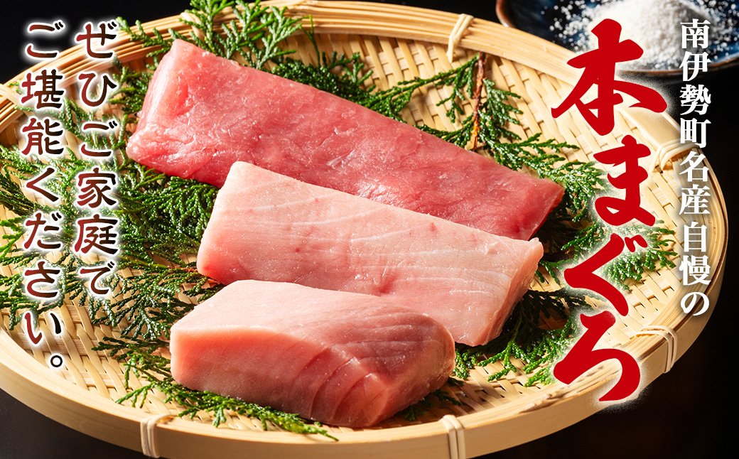 本マグロ 中トロ 410g 冷凍／本マグロ 本鮪 マグロ まぐろ クロマグロ 専門店 ブランド 切り落とし 切り落し 不揃い 規格外 鮪 刺身 刺し身 お刺身 三重県 伊勢志摩 南伊勢町 10000円