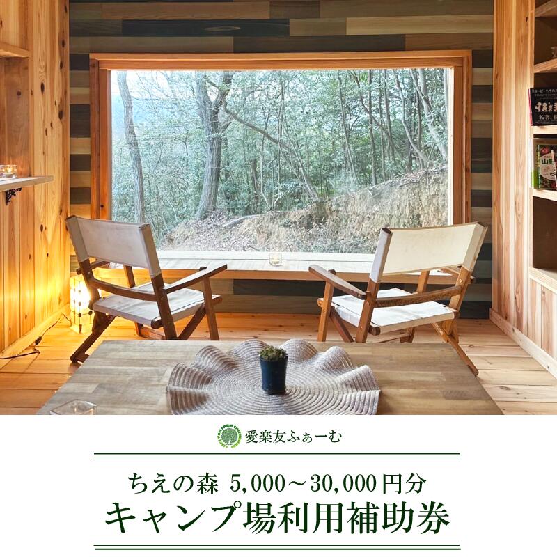 【ふるさと納税】 キャンプ場 利用券 選べる 5000円 から30000円分 宿泊券 徳島 観光 旅行 チケット 露天風呂 温泉 キャンプ コテージ テント BBQ アウトドア アクティビティ 旅行券 国内旅行 徳島県 吉野川市 愛楽友ふぁーむ ちえの森