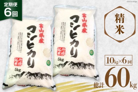 6回 定期便 お米 コシヒカリ 精米 10kg×6回 総計60kg / サンライス青木 / 富山県 朝日町 [34310019] 米 ごはん 白米 こしひかり 富山県産 60キロ