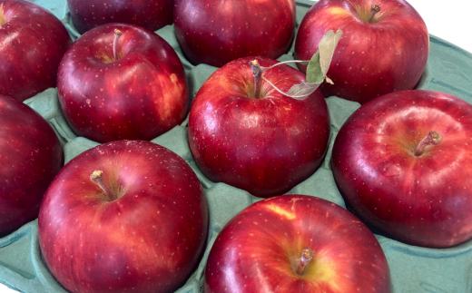 
                  7-011-005　サトケンさんの完熟りんご「つがる」3kg（12～15玉）【10月以降発送】
                