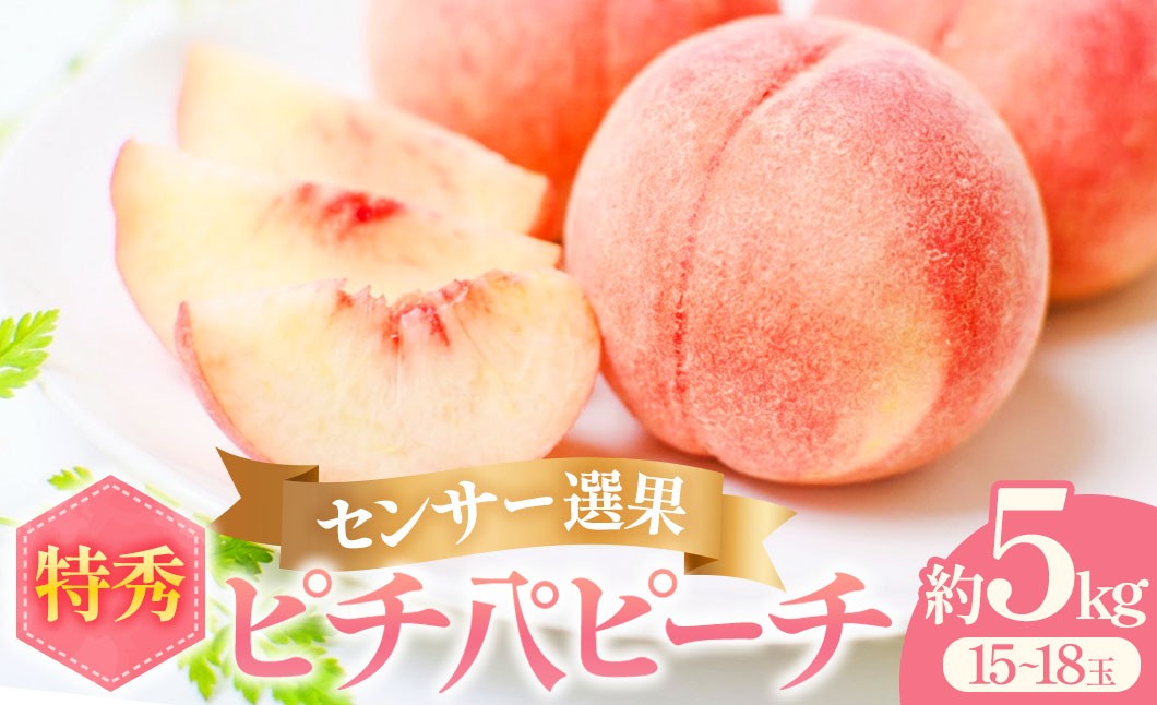 
                  【先行予約：2026年産】桃 約5kg (15～18玉) 「ぴちパ　ピーチ」 桃 もも モモ あかつき まどか 川中島 フルーツ もも 桃 モモ 人気 桃 もも 新鮮 旬 もも モモ 果物 フルーツ もも 桃 ピーチ 贈答 ギフト 期間限定 桃 もも 令和8年発送 もも 桃 モモ 桃 先行予約 もも 桃 モモ フルーツ 果物 桃 フルーツ 果物 もも 桃 モモ 青森県 三戸町 AS-25-004
                