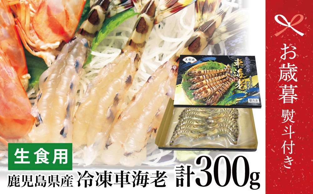 
                  【お歳暮ギフト】鹿児島県産 活〆 冷凍車海老 300g（生食用） えび クルマエビ 車えび 海鮮 海産物 刺身 寿司 天ぷら 塩焼き エビフライ 急速冷凍 冷凍 鹿児島 坊津 南さつま市 お歳暮 のし対応 熨斗
                