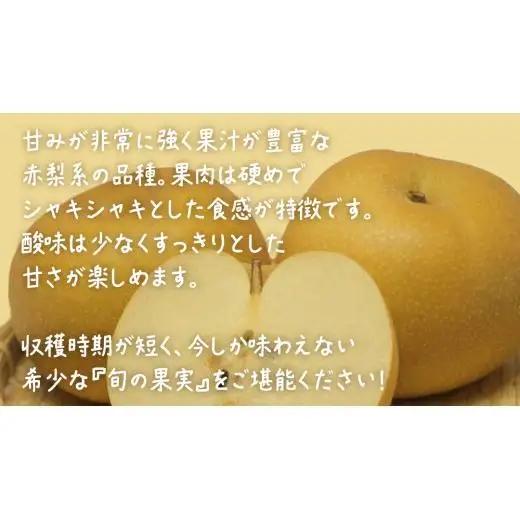 【 お中元 熨斗付き 】 幸水 約10kg (20～24玉)【2026年8月上旬発送開始】(茨城県共通返礼品：大子町)
