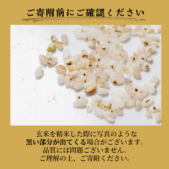 【D7097】新米！上士別清流米 ななつぼし 玄米 (15kg) 米 お米 玄米 北海道米 ごはん ななつぼし 北海道産 士別産 15kg 新米 【合同会社T&M】