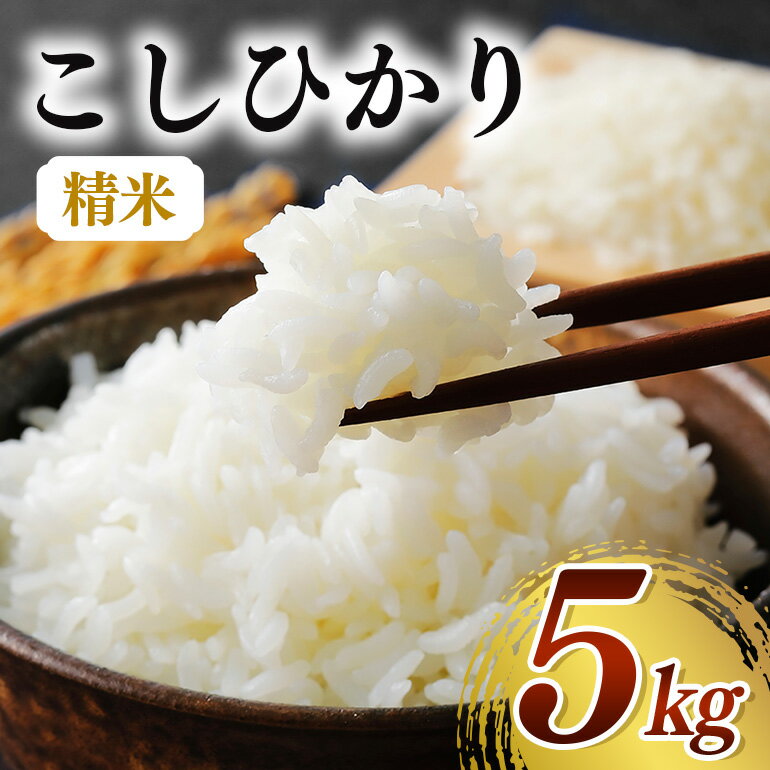【ふるさと納税】 【令和7年産】コシヒカリ（精米）5kg 白米 お米 ご飯 米 産地直送 茨城県 石岡市 B08-004