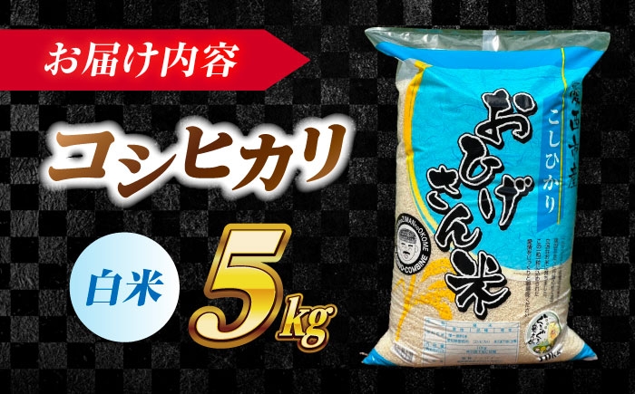 コシヒカリ 白米 5kg