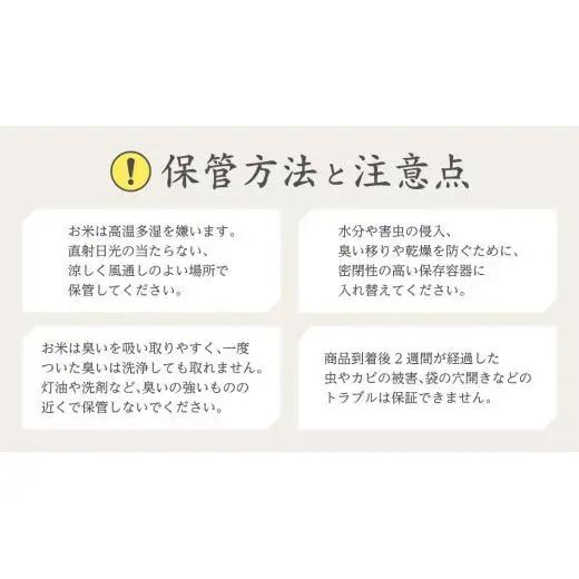 《 令和7年産 》 茨城県産 コシヒカリ 20kg ( 5kg × 4袋 ) 期間限定 こしひかり 米 コメ こめ 五ツ星 高品質 白米 精米 時短 単一米