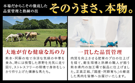 馬刺し 3種 赤身 フタエゴ サガリ 計450g (専用醤油付き150ml×1本) 桜屋 《60日以内に出荷予定(土日祝除く)》 熊本県 荒尾市 送料無料 肉 馬肉 馬さし