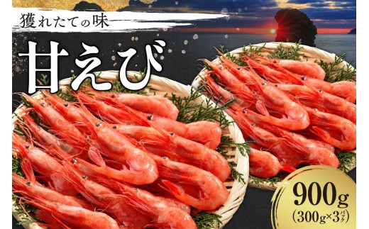 
                  獲れたての味！北海道余市産 甘エビ 900g 300g×3パック 地元漁港直送 急速超低温冷凍 生食可 刺身用 ボイル 天ぷら フライ 国産 海の宝石 プリプリ食感 有頭 天然 19～22尾 送料無料
                