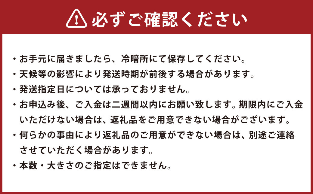 訳あり 紅はるか 5kg