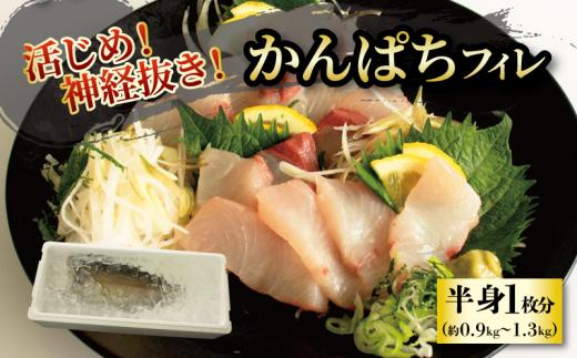 活じめ！神経抜き！かんぱちフィレ半身1枚（約0.9～1.3㎏）| 鮮魚 刺身 お刺身 お刺し身 魚介 海の幸 冷蔵 かんぱち カンパチ 勘八 愛媛県 松山市