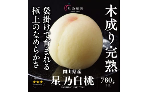 ＜星乃白桃＞岡山県産 三つ星 セレクト白桃 780g (3玉)【1614281】