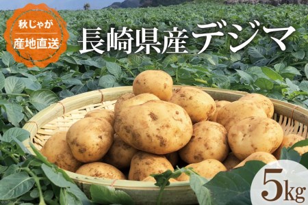 【期間限定発送】 じゃがいも なんぐしデジマ 秋作 5kg [なんぐしデジマプロジェクトチーム 長崎県 雲仙市 item2163] ジャガイモ 野菜 デジマ 5キロ 秋じゃが