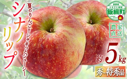 りんご シナノリップ 秀 ～ 特秀 5kg 渡辺農園 沖縄県への配送不可 2026年8月中旬頃から2026年8月下旬頃まで順次発送予定 令和8年度収穫分 エコファーマー認定 減農薬栽培 長野県 飯綱町 [1019]