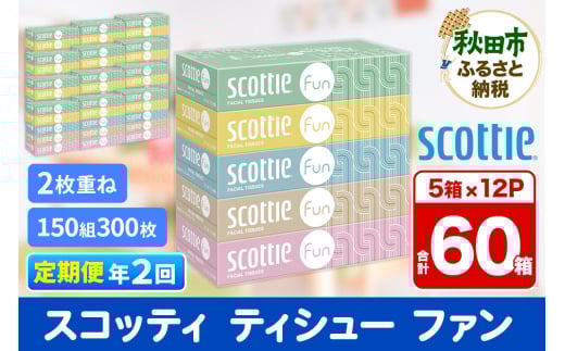 《6ヶ月ごとに2回お届け》定期便 ティッシュペーパー スコッティ ティシュー ファン 150組 5箱×12パック【レビューキャンペーン中】