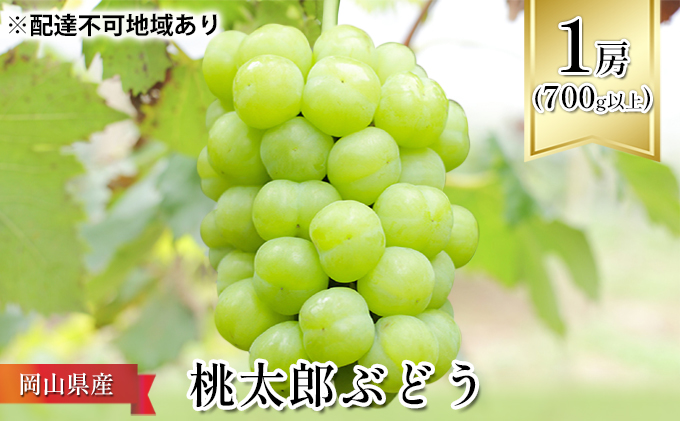 ぶどう 2025年 先行予約 桃太郎 ぶどう 1房（700g以上） ブドウ 葡萄  岡山県産 国産 フルーツ 果物 ギフト