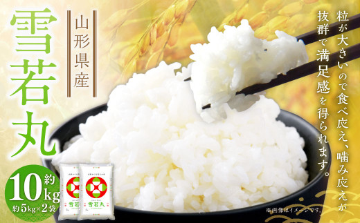 雪若丸〈令和7年産〉 約10kg（約5kg×2袋セット） 白米 10キロ 精米 ブランド米 お米 山形県 白鷹町 【2026年9月上旬まで順次発送予定】