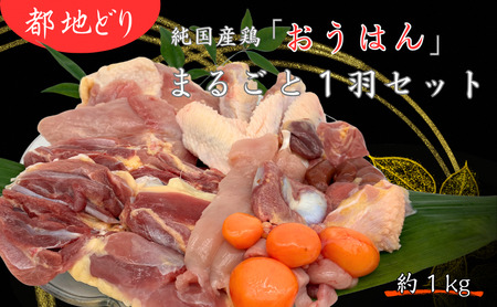 都地どり　「おうはん」　まるごと1羽セット　地鶏 鶏肉 むね ささみ 皮 モモ 手羽先 手羽中 ハツ 砂肝 レバー 玉ひも 京都府 南丹市