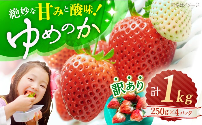 
            いちご 【先行予約】 【 訳あり 】 ゆめのか 苺 計 1kg （250g×4パック）＜川原農園＞ [CDR001] 長崎 西海 イチゴ いちご 苺 ゆめのか いちご 訳あり 家庭用 8千円 8000円 1万円以下
          