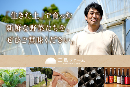 朝採り新鮮！有機野菜セット詰合せ（7～9種類）3回コース【定期便】 定期便 採れたて 産地直送 葉物 有機JAS認証 野菜セット 旬の野菜 野菜【1908】