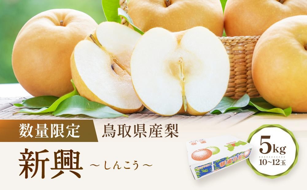 
                  【先行予約】数量限定 鳥取県産梨 新興（しんこう） 5kg（10～12玉） 国産 新興梨 梨 国産梨 国産新興梨 鳥取県産梨 鳥取県産新興梨 梨5kg 新興梨5kg 新鮮 旬 フルーツ 果物 くだもの 人気 おすすめ 鳥取 琴浦町 送料無料
                