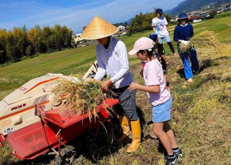 自然栽培米 ヒノヒカリ 玄米 25kg　京都府・亀岡産 令和5年産 栽培期間中農薬不使用  亀岡オーガニックアクションがお届け※離島への配送不可
