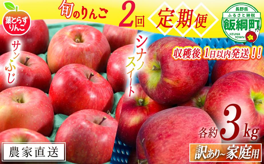 
            【 定期便 / フレッシュ便 】 旬のりんご 家庭用 〜 訳あり 3kg × 2回 葉とらずりんご フレッシュフルーツミカズキ 沖縄県への配送不可 2025年10月中旬頃から2025年12月中旬頃までお申込み順に発送予定 令和7年度収穫分 リンゴ アップル シナノスイート サンフジ サンふじ 長野県 飯綱町 [2010]
          