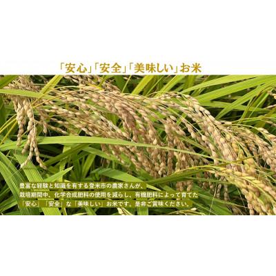 ふるさと納税 登米市 【精米】令和7年宮城県登米市産「つや姫」5kg×2袋 合計10kgセット |  | 03
