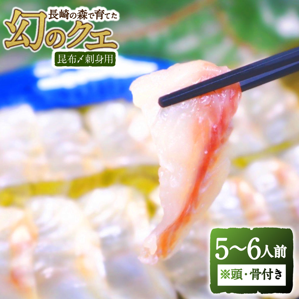 【ふるさと納税】長崎の森で育てた『幻のクエ』昆布〆 刺身用 5～6人前 1kg～2kg前後 頭・骨付き 高級魚 魚介類 くえ 海産物 冷蔵 長崎県 長崎市 送料無料