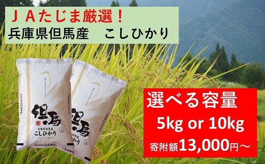 
                  令和7年産 JAたじま厳選！ 兵庫県但馬産こしひかり 5kg（5kg×1袋） or 10kg（5kg×2袋） 兵庫県北部産こしひかり 米食味ランキング特Ａ獲得 兵庫県地域資源認定 兵庫県産特Ａ米
                