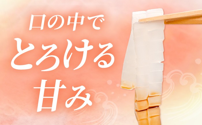 剣先イカ 姿造りを呼子CASセンターから直送！