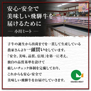 【定期便6ヶ月】牛肉 飛騨牛 すき焼き しゃぶしゃぶ セット 赤身 モモ 又は カタ 500g 黒毛和牛 Ａ5 美味しい お肉 牛 肉 和牛 すき焼き肉 すきやき すき焼肉 しゃぶしゃぶ肉 【岐阜県池