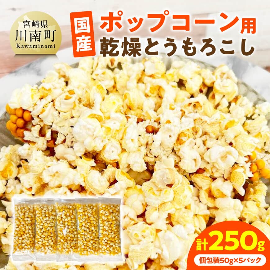 国産ポップコーン用（乾燥とうもろこし）　250g（個包装50g×5パック）　期間限定 宮崎県産 ポップコーン　[C07108]
