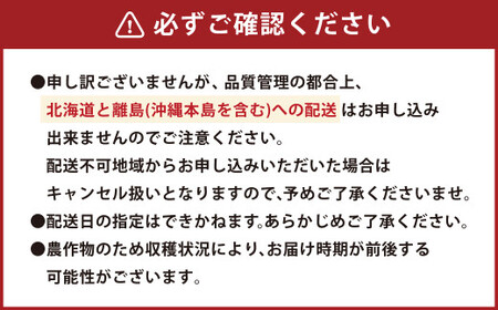 【2ヶ月定期便】エコファーマー あまおう （約280g×2パック）×2回 計約1120g【数量限定】【2027年2月上旬から3月下旬順次発送】 いちご 苺 イチゴ ベリー 果物 フルーツ お取り寄せ 