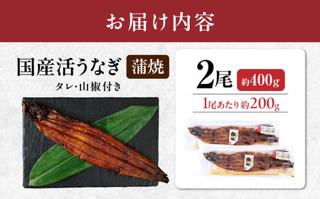 国産 うなぎ 蒲焼き 2尾 計約400g 鰻 ウナギ[AQDF007]