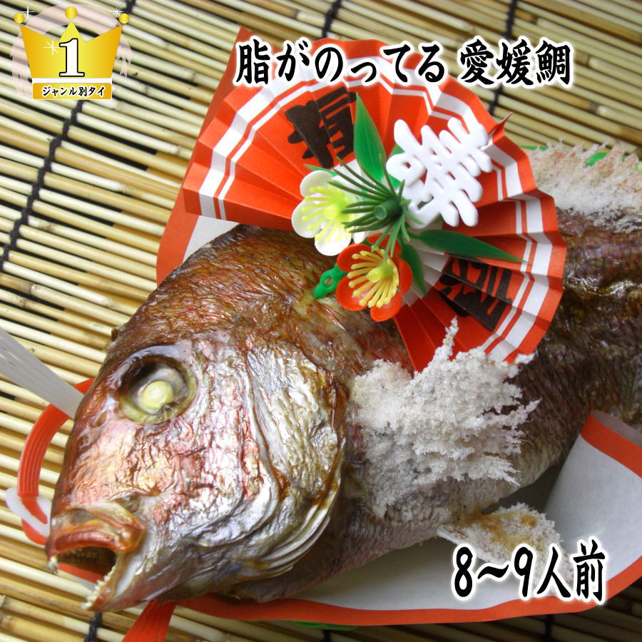 【ふるさと納税】天然祝鯛　炭火焼　1.7kgアップ（愛媛活け鯛）　お届け：※12月15日申し込み分までは年内配送、16日申し込み以降は1月15日以降のお届け。