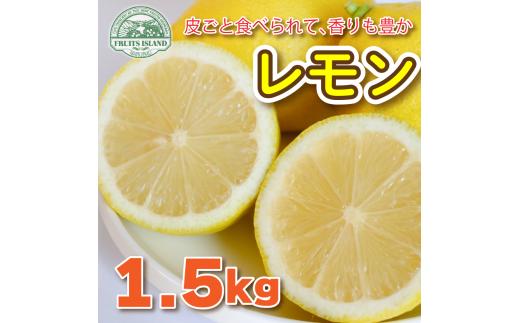 
レモン 約 1.5kg 12個 檸檬 フルーツ 果物 くだもの 柑橘 国産 新鮮 減農薬 ノンワックス 防腐剤 不使用 ビタミンC 美容 美肌 健康 皮ごと 牡蠣 かき 魚 さかな 肉 にく スイーツ パスタ 愛媛 みかん 蜜柑 愛南
