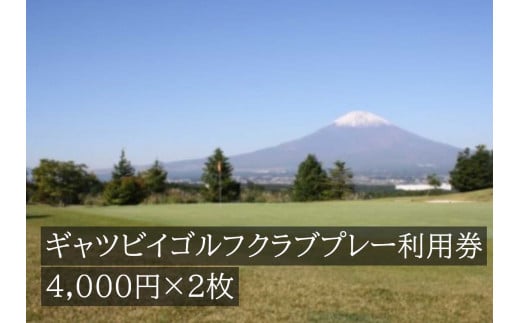 G15ギャツビイゴルフクラブプレー利用券　2枚