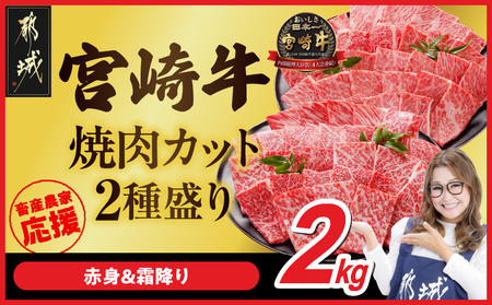 宮崎牛焼肉2種セット500g×4パック_AF-N2-002-2000_(都城市)