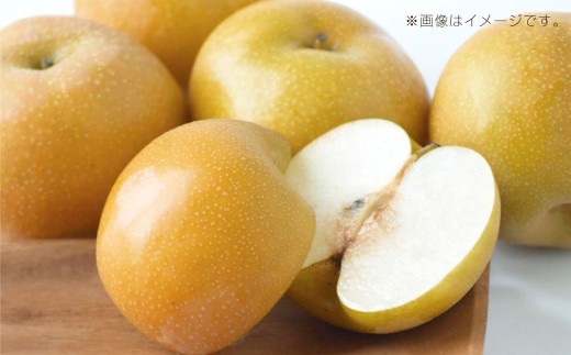 岡山県産新高梨 4～6玉 約3kg【2025年10月下旬-11月上旬迄発送予定】【なし 梨 高梨 フルーツ 人気フルーツ おすすめフルーツ 岡山県 倉敷市】
