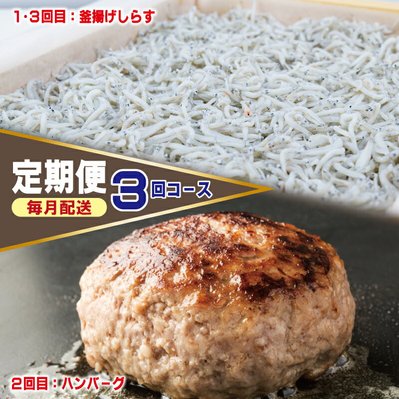 【ふるさと納税】店主セレクト 食べ比べ 定期便 全3回 ハンバーグ / しらす 毎月配送 ビーフハンバーグ 無添加（保存料、着色料、香料不使用） 釜揚げシラス 家庭用 大阪府 泉佐野市 冷凍 お取り寄せ お取り寄せグルメ 送料無料 肉の泉佐野