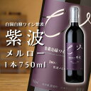 紫波メルロー【自園自醸ワイン紫波】 ふるさと納税 ワイン