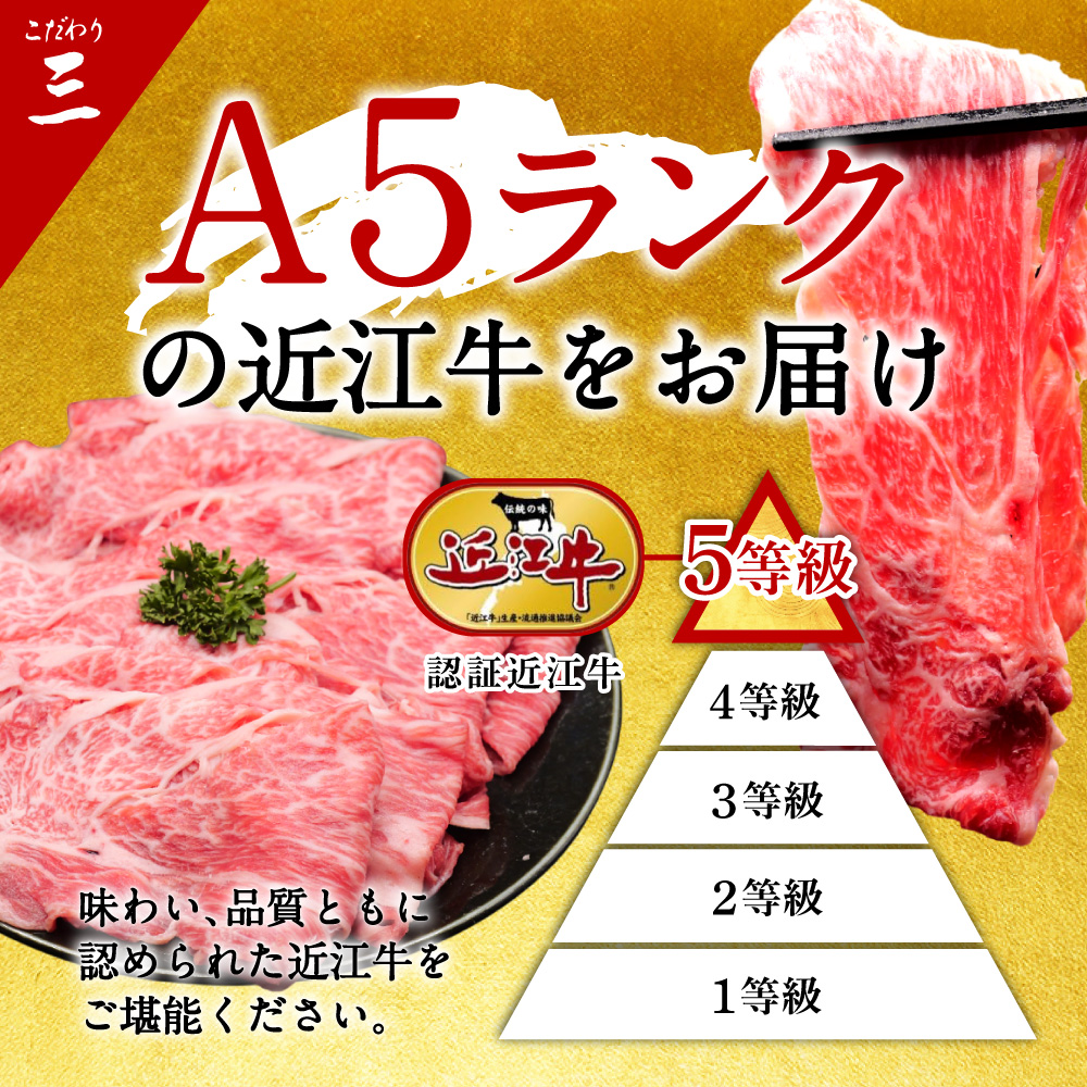 近江牛ロースしゃぶしゃぶ用600g 有限会社常松商店 滋賀県 東近江市 D30 近江牛 和牛 A5 牛肉 ロース しゃぶしゃぶ 霜降り 600g 国産 滋賀 肉