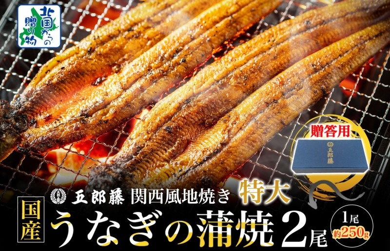 015B385-1 【贈答用】五郎藤 関西風地焼き 国産有頭旨鰻 250g×2尾 計約500g 特大 うなぎ ウナギ 蒲焼き 炭火
