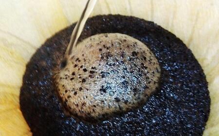 小樽珈琲香房　深煎3種セット（2種+季節の珈琲豆）