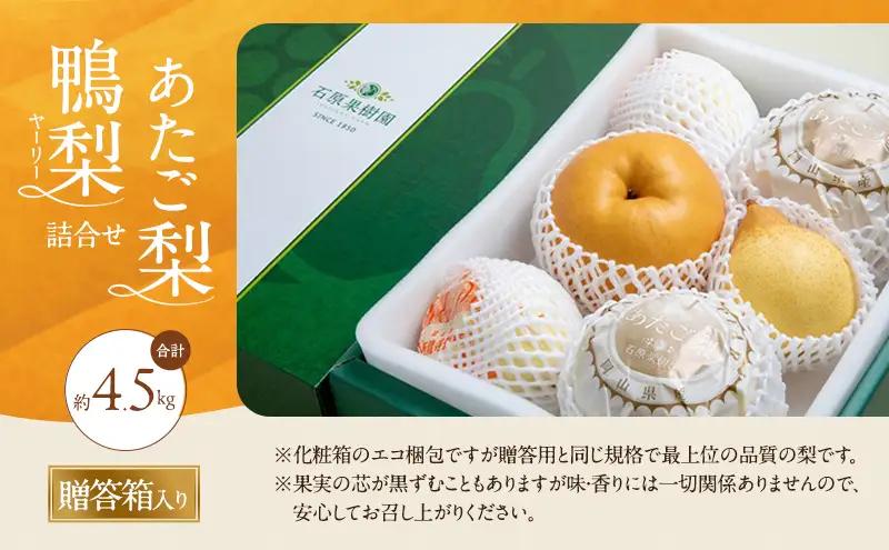 梨詰合せ あたご梨・鴨梨 ヤーリー 岡山県産 梨詰合せ【約4.5kg あたご2～3玉 鴨梨3～7玉】【先行予約】