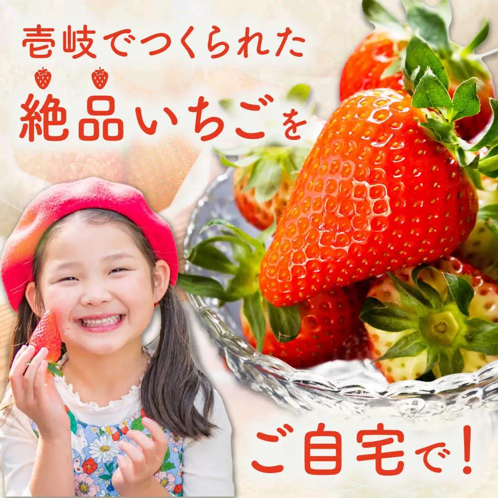 【先行予約】いちごセット（ゆめのか・恋みのり） [JEO001] 
