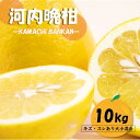 【ふるさと納税】定期便 3回 河内晩柑 10kg 柑橘 みかん ジューシーオレンジ 初夏 玉名 熊本県産 晩柑 10キロ×3回玉名 熊本 送料無料