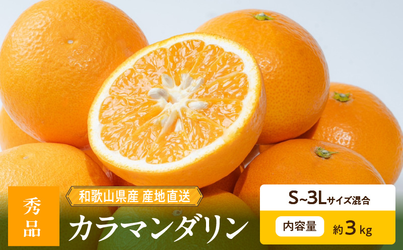 【2027年先行予約】和歌山県産 カラマンダリン 約3kg 秀品_ZE6500
