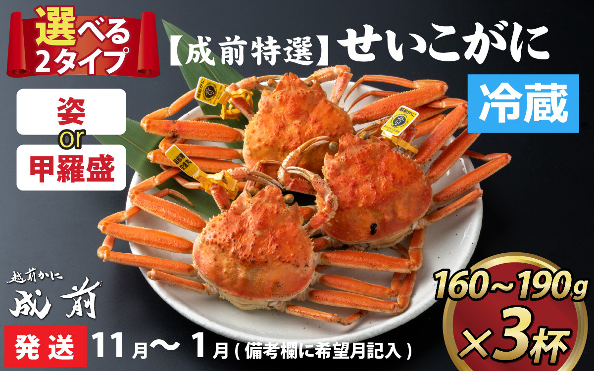 
美味しさ直送！【成前特選】 せいこがに（160g～190g）×3杯【11月～1月発送】 [C-028040]
